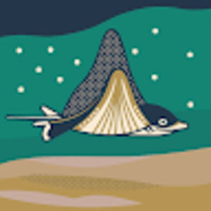 Meet your Posher, Cheyanna